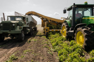 agriculture