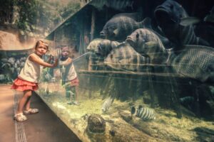 fishes